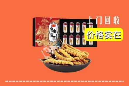 盂县回收冬虫夏草